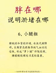 -Fundi张玉珊修身堂·indiba·BTL科技瘦身