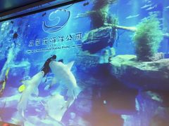 -石家庄海洋公园