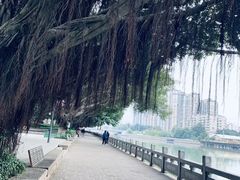 -光明港公园