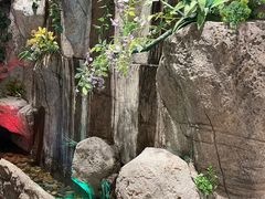 -老湘亲·品鉴湘菜(湖里店)