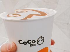 -CoCo都可(虹口龙之梦店)