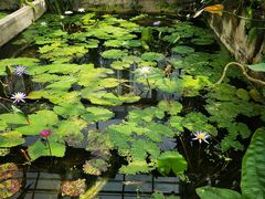 -国家植物园南园