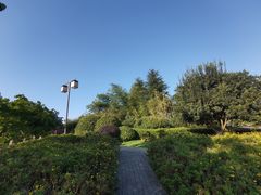 -铁山坪森林公园