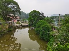 -双新垂钓园