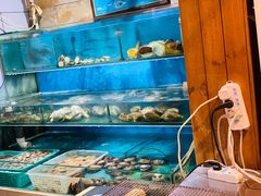 -鑫釜山海鲜烧烤(鑫丰国际店)