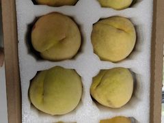 -樂桃源奉贤黄桃种植采摘基地