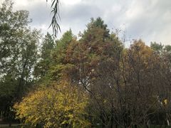 -洛阳市隋唐城遗址植物园