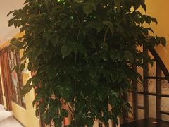 -西贝(六里桥旗舰店)