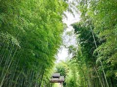 -苏州环秀晓筑养生度假村