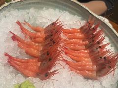 -月龍吟(朝龙汇店)