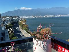 -野菌皇海景野生菌火锅(滨海大道店)