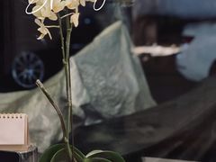 -倦勤咖啡(中山南路店)