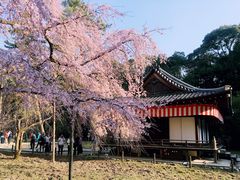 -醍醐寺