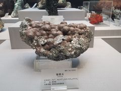 -湖南省地质博物馆