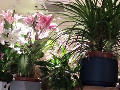 -春暖花开(西溪店)