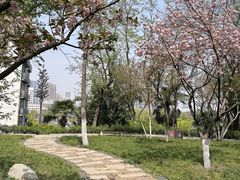 -放鹰台遗址