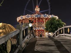 -锦江乐园舞狸花花游园会(夜场专享)