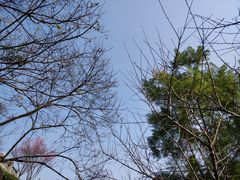 -重庆彩云湖湿地公园