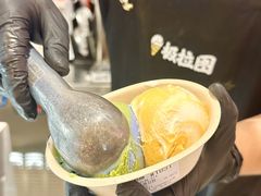 -极拉图·现制冰淇淋(大卫城店)