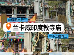 -瓜镇夜市