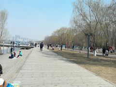 -长白岛森林公园