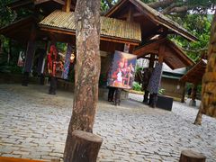 -海南槟榔谷黎苗文化旅游区