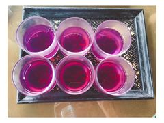 -普吉岛凯悦酒店