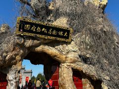 -大槐树寻根祭祖园