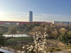 -中国浦东干部学院