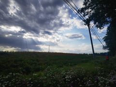 -瀛海足球主题公园