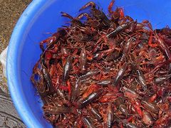 -红星农贸综合市场