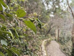 -宁波五龙潭景区