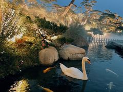 -罗红摄影艺术馆