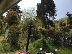 -南京金牛湖风景区