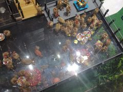 -唐廊烤鸭店(工体店)