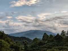 -天强农家菜馆