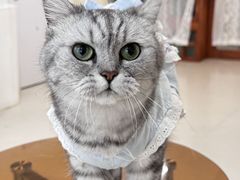 -共舞时光猫咖·狗咖(新街口店)