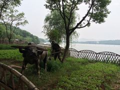 -天目湖山水园
