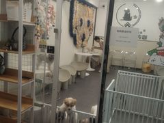 -有喵·猫咖·狗咖·30几只猫10只小狗(岗厦店)