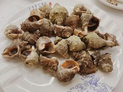 清蒸小海螺-北戴河庆山饭店·海鲜砂锅粥(北戴河黑石路店)