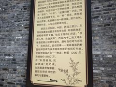 -朴园
