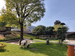 -瑞博尔花园酒店(太周创新产业园店)