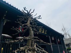 -成都武侯祠博物馆