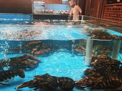 -宴西湖(滨湖公园店)
