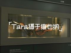 -维也纳莫扎特之家