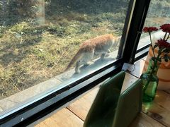 -北马山庄植趣咖啡