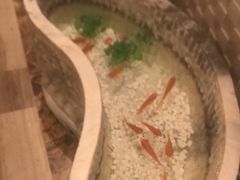 -阿五黄河大鲤鱼(纬三路店)