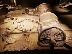 -洛阳周王城天子驾六博物馆