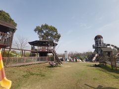 -上海长兴岛郊野公园