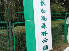 -长白岛森林公园
